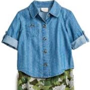 Cat & Jack (2 piece) Dino joggers /button up